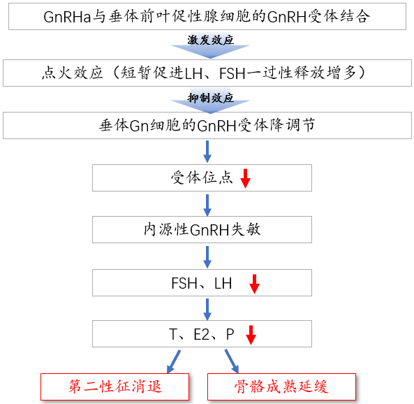 6348_xsgd_8040.png